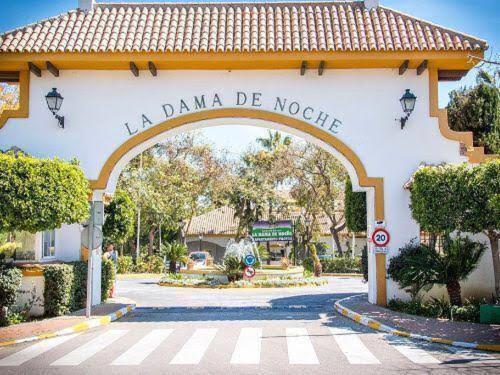 Lovely In Dama De Noche